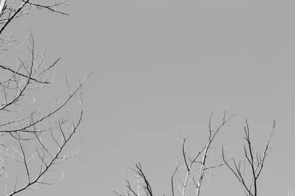 XCasino Kasino Podpora